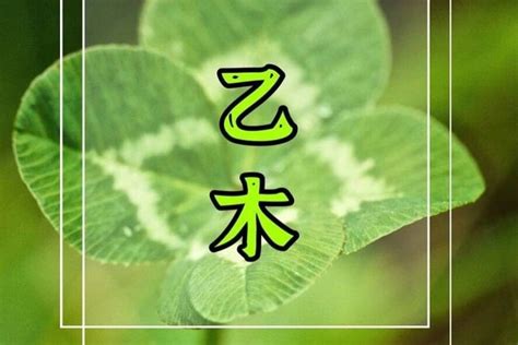 乙木日主|【易观命理】乙木日主的命理特点